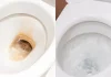 La mejor forma de elimïnar el sarro de canillas e inodoros sin vinagre ni bicarbonato: el método casero que gana terreno por su efectividad