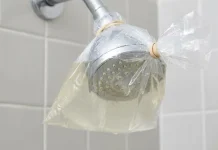 Atar una bolsa con vinagre a la ducha: un método simple y económico que ayuda a eliminar el sarro acumulado en el cabezal de la ducha