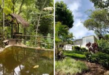 ¿Sabías que puedes recorrer un bosque de café y cacao en Caracas? Te mostramos Casa Samambaya (+ Fotos y Video)