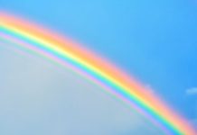 Por qué el 21 de marzo se celebra el Día Internacional del Color y cómo influye en nuestras emociones, decisiones y forma de ver el mundo