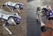 Chacao rõmpe esquemas en Latinoamérica al desplegar perros robots en las calles para reforzar la seguridad y vigilar zonas de alto riesgo las 24 horas (+ Video)