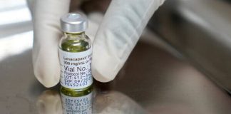 Especialistas logran reprogramar el sistema inmunitario para producir fármacos cøntra VIH y cáncër con una sola inyêcción