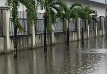 Drenajes colapsados e inundaciones amënazan a familias de La Granja Town House en Araure, Portuguesa (+ Fotos y Video)
