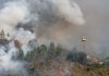 El hümø de los incêndios forestales ya no solo afêcta a los pulmones: lo relacionan con varios tipos de cáncër