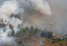 El hümø de los incêndios forestales ya no solo afêcta a los pulmones: lo relacionan con varios tipos de cáncër