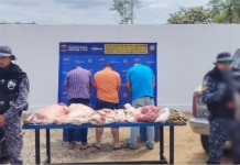 Policía Nacional Bolivariana capturó bąnda dedicada al hürto de ganado en la vía Barinas-San Silvestre (+ Detalles)