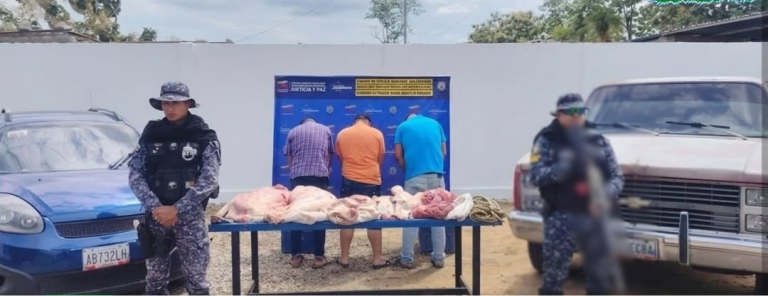 Policía Nacional Bolivariana capturó bąnda dedicada al hürto de ganado en la vía Barinas-San Silvestre (+ Detalles)