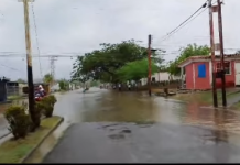 Denuncian falta de mantenimiento de drenajes: Inundaciones en diferentes sectores de San Carlos, estado Cojedes tras fuertes lluvias (+ Video)