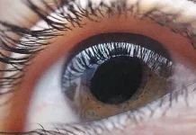 Científicos reciben premio por terapia genética que restaura la visión en pacientes con enfermedâdęs hereditarias oculares