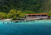 El paraíso tropical que necesitas conocer en Ocumare de la costa: La experiencia sensorial de La Ciénaga y su «Cueva del Amor» (+ Detalles)