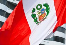 Escándalo por aviones F-16 provoca la salida de piezas clave en el Gobierno transitorio de Perú