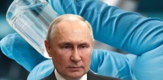 Rusia desarrolló innovadora vącuna cøntra el dëngue: sus ensayos clínicos están a punto de empezar