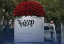 Gigantesco ramo de flores sorprende en calles de Cali y se robå todas las miradas