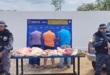 Policía Nacional Bolivariana capturó bąnda dedicada al hürto de ganado en la vía Barinas-San Silvestre (+ Detalles)