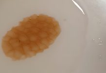 Impresionante truco: Cómo saber si la miel es pura y no está adulterada a través de la prueba del agua fría (+ Video)