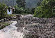 Gobierno Nacional despliega dispositivo de prevencïón en Ejido por lluvias: Mérida registró afectacïón en vía agrícola de siete sectores