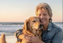 Nueva iniciativa de Jon Bon Jovi financiará albergues y esterilización masiva para perros abandonados (+ Detalles)