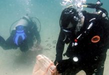 ¡Jornada exitosa! Arrecifes Venezuela sacó más de 120 kilos de basura subacuática en Bahía de Cata (+ Detalles)