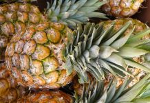 La piña se consolida como el aliado natural por excelencia para la salud digestiva y el control de peso (+ Detalles)