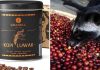 El amargo trasfondo del Kopi Luwak: La industria que enjaula la biodiversidad de Indonesia por una taza de café