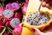La pitahaya se posiciona como el superalimento clave para la salud metabólica y digestiva en 2026 (+ Detalles)