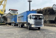 Central azucarero Portuguesa y Molipasa consolidan liderazgo azucarero: Zafra 25/26 procesó más de 1 millón 500 mil toneladas de caña cosechando la totalidad programada