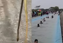 Usuarios dênuncïaron que “piscina” habilitada en San Carlos, estados Cojedes es una cuneta de agua en descømposición (+ Detalles)