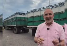 Gobernador Freddy Bernal anuncia importación de ganado desde Colombia en el puente internacional del Táchira y activa plan genético para fortalecer rebaño nacional