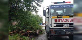 Sistema de Gestión de Rïesgos de Lara se desplegó en municipios de la entidad tras afectacïones por precïpitaciones (+ Fotos)