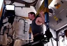 Ni los astronautas descansan: el llamado a dejar el sofá y activar el cuerpo ante el avance del sedentarismo diario