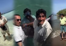 Emotivo momento: hija lleva a su padre de 82 años al mar por primera vez y conmueve a miles (+ Video)