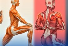 No es solo entrenar pesado, también es saber moverte bien: Posiciones simples, sostenidas por segundos o minutos, pueden marcar gran diferencia