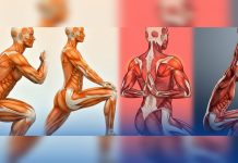 No es solo entrenar pesado, también es saber moverte bien: Posiciones simples, sostenidas por segundos o minutos, pueden marcar gran diferencia