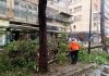 Chacao con eficiencia: Municipio queda 100% despejado en tiempo récord tras fenómeno meteorológico (+ Fotos)