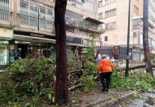 Chacao con eficiencia: Municipio queda 100% despejado en tiempo récord tras fenómeno meteorológico (+ Fotos)