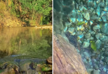 ¿Sabías que en Lara hay Jacuzzis Naturales? Conoce este paraíso a 30 minutos de Barquisimeto en La Morita (+ Video)