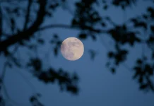 Luna de Flores iluminará el cielo en mayo y promete uno de los espectáculos astronómicos más esperados del año