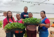 Impulsan soberanía alimentaria con la entrega de 1.800 plántulas en 50 escuelas de Ciudad Orinoco (+ Detalles)