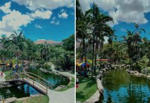 Cascadas, toboganes y fauna silvestre esperan en la Isla La Cumaca, el parque temático de Valencia (+ Fotos y Video)