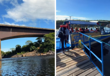 Conoce el recorrido en catamarán que revela los secretos de los ríos más grandes de Venezuela (+ Video)