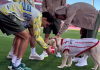 ¡La MVP del Girona! La perrita del club español se viraliza jugando previo a un partido (+ Video)