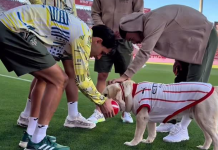 ¡La MVP del Girona! La perrita del club español se viraliza jugando previo a un partido (+ Video)