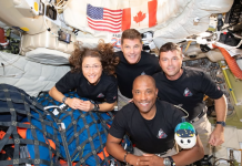 «Nací para esto»: La mascota de Artemis II interactúa con millones de seguidores desde la órbita lunar (+ Detalles)