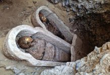Descubrimiento histórico: Encuentran fragmento de la “Ilíada” oculto en una mømia romana en Egipto (+ Detalles)