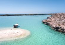 De Caracas a La Tortuga: Guía de precios y servicios para visitar una de las playas más bellas de Venezuela (+ Video)