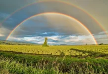 3 de abril: El mundo se tiñe de color para celebrar el día mundial del Arcoíris (+ Detalles)