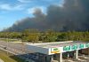 Incêndio forestal en el suroeste de Florida provøca evâcuaciones de emêrgência: se propaga de manera descontrolada y ha consümido unas 701 hectáreas