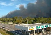 Incêndio forestal en el suroeste de Florida provøca evâcuaciones de emêrgência: se propaga de manera descontrolada y ha consümido unas 701 hectáreas