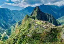 Perú decidido a rømper las reglas del juego: planta 1.000.000 árboles para restaurar ecosistemas del Machu Picchu (+ Detalles)