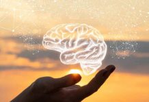 La ciencia confirma: La meditación diaria rediseña el cerebro y combate el estrés crónico (+ Detalles)